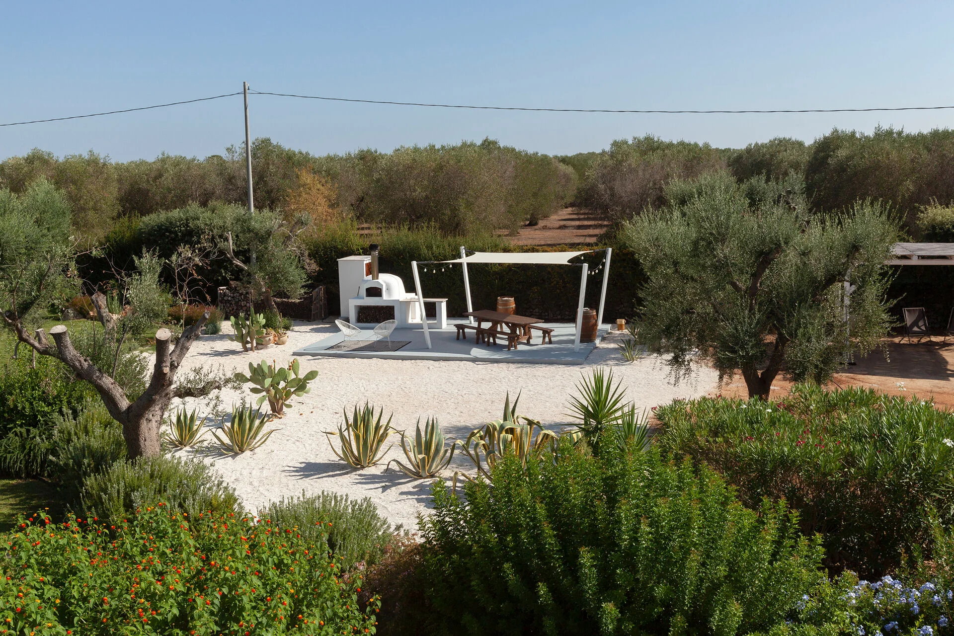 A white outdoor patio at the best luxury villa Salento features a table, benches, and a wood-fired oven, surrounded by lush shrubs, succulents, cacti, and olive trees. A tranquil pathway leads from the patio into a grove under a clear blue sky. {{brizy_dc_image_alt imageSrc=