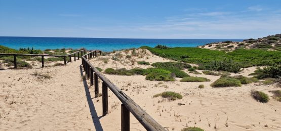 A wooden walkway with railings leads through sandy dunes in Salento, Apulia, covered in green shrubs toward a bright blue ocean under a mostly clear sky. The sunlit scene is calm, with grass and low bushes scattered across the sandy landscape. A wooden walkway with railings leads through sandy dunes in Salento, Apulia, covered in green shrubs toward a bright blue ocean under a mostly clear sky. The sunlit scene is calm, with grass and low bushes scattered across the sandy landscape.