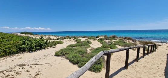 A sandy path with a rustic wooden railing winds through green shrubs and dunes covered in bushes at the dune di Campomarino near Villa Mia Salento, leading towards a bright blue sea beneath a cloudless, sunny sky. A sandy path with a rustic wooden railing winds through green shrubs and dunes covered in bushes at the dune di Campomarino near Villa Mia Salento, leading towards a bright blue sea beneath a cloudless, sunny sky.